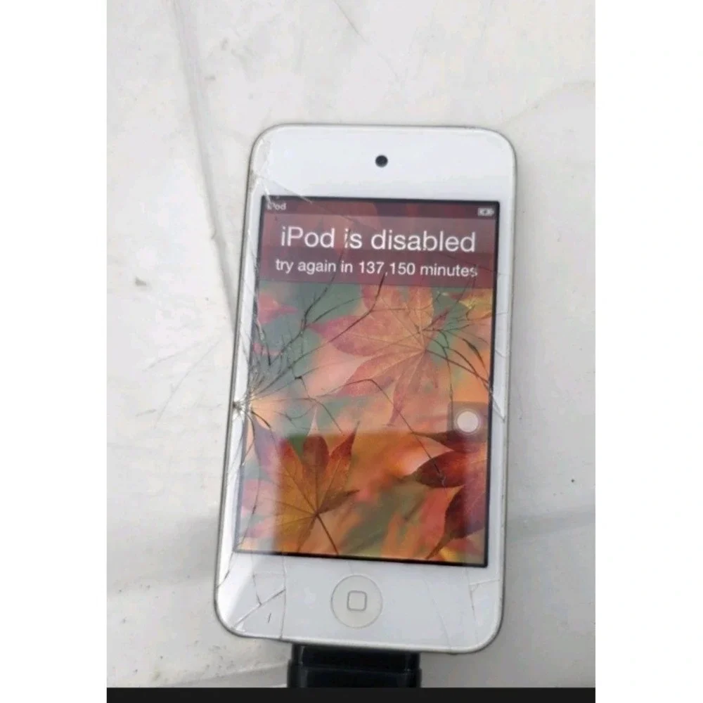 6 iPods, some turn on, some don't, as in the photo.